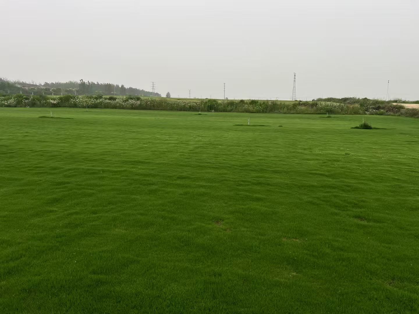 2026年9月想找南京自有种植草坪基地？哪家才是你的最佳之选？